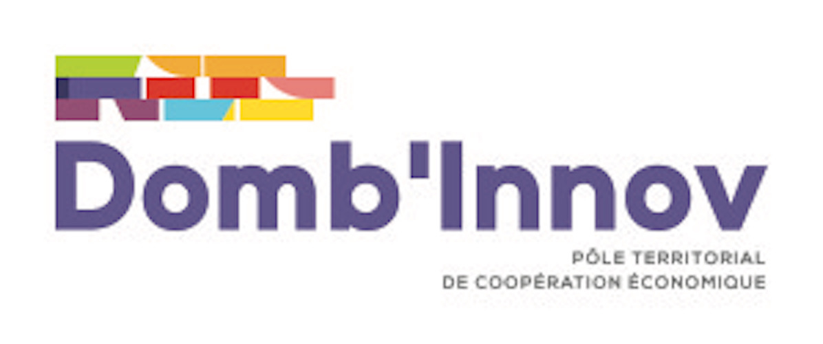 logo dombinnov 01